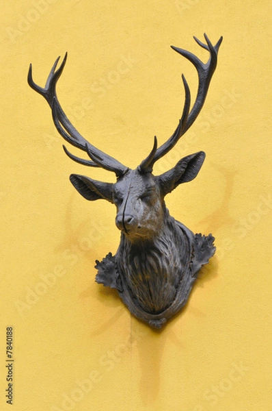 Obraz Hirschkopf am Forsthaus