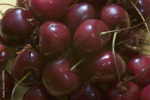 Obraz cherry