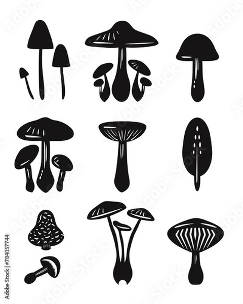 Fototapeta A colorful vector illustration of various mushrooms and fungi found in nature