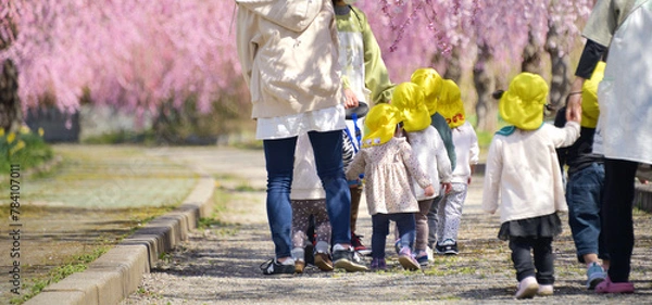Fototapeta 春・桜・園児の散歩