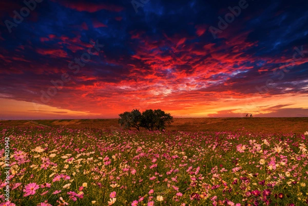 Obraz 幻想的な夕焼け