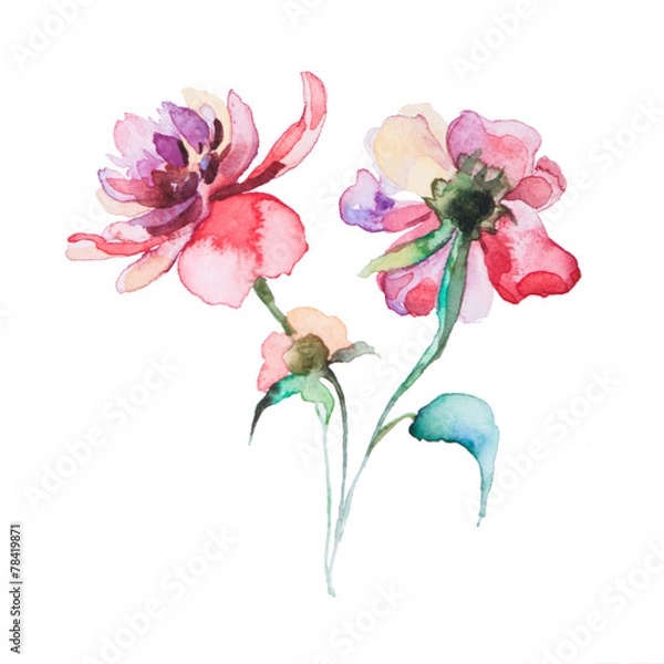 Obraz the spring flowers watercolors isolated on the white background