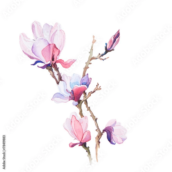 Obraz the spring flowers watercolors isolated on the white background