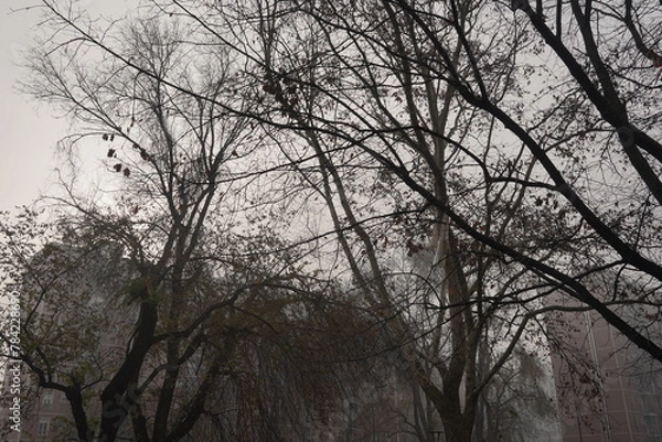 Fototapeta View of a glimpse of the outskirts of Milan on the first day of winter. Milan  Gratosoglio district , Italy