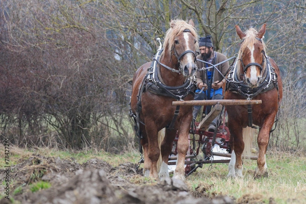 Fototapeta Gespann Mit Pflug