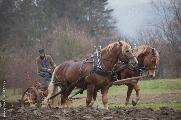 Fototapeta Gespann Mit Pflug