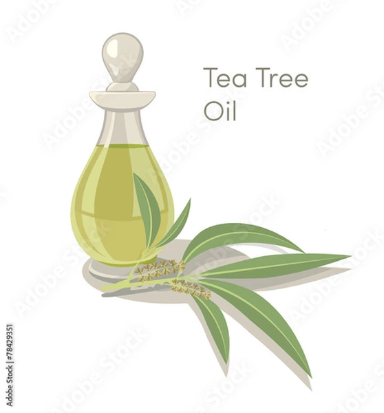 Obraz Tea tree oil illustration