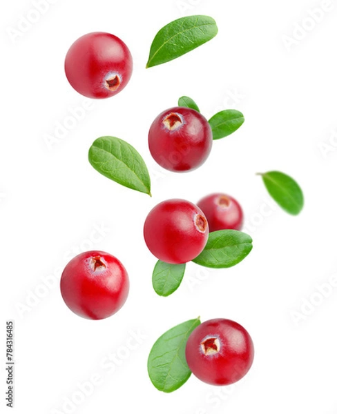 Fototapeta levitating cranberry with leaves on a white isolated background