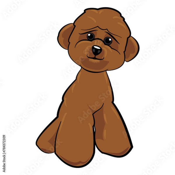 Fototapeta Illustration of a little chocolate brown and fluffy toy poodle with its head tilted to the side