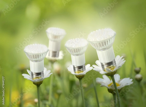 Obraz LED light bulbs like flowers