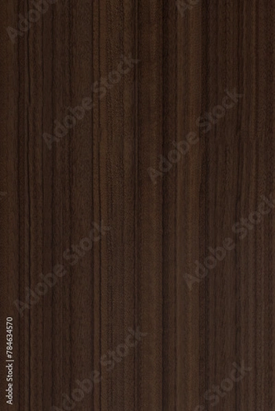 Obraz Abstract textured background with fine details	