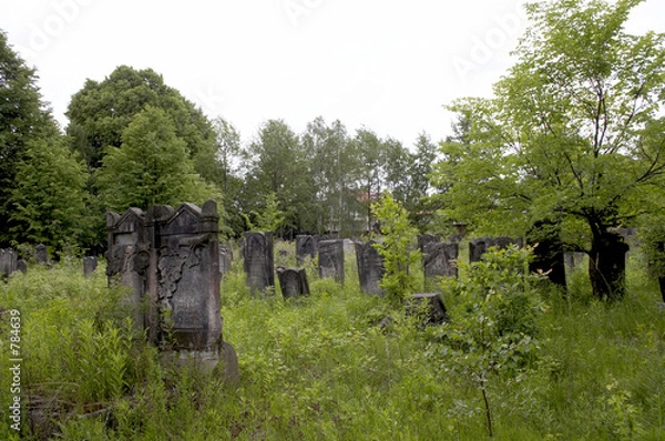 Obraz jewish cementery 3