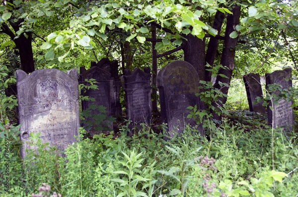 Obraz jewish cementery 4
