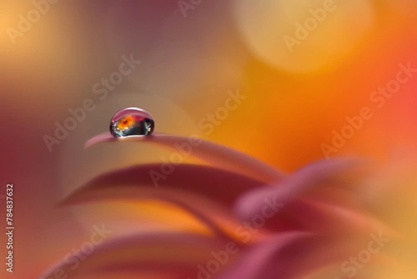Obraz Beautiful Macro Photo.Colorful Flowers.Border Art Design.Magic Light.Close up Photography.Conceptual Abstract Image.Orange Background.Fantasy Floral Art.Creative Wallpaper.Beautiful Nature.Water Drop.