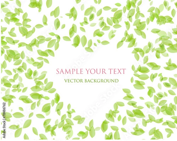 Obraz grünes Herz Background