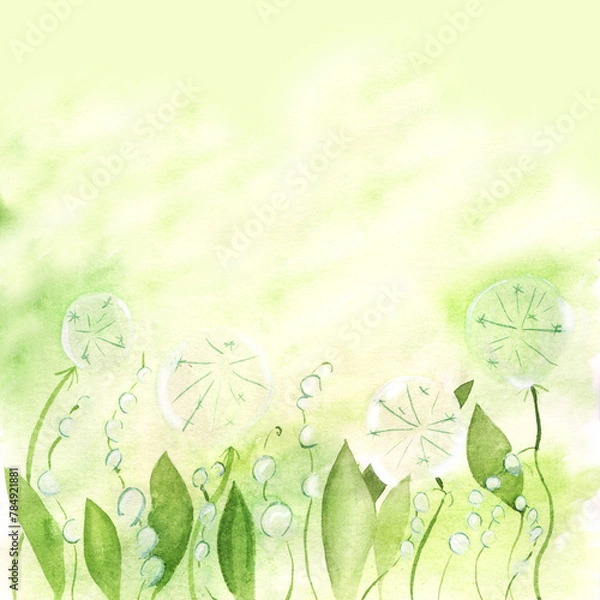Obraz Summer watercolor background blooming dandelions and green leaves, fluffy balls on a meadow or field. Nature illustration hand drawn, can be used for design of cards, labels, tableware print