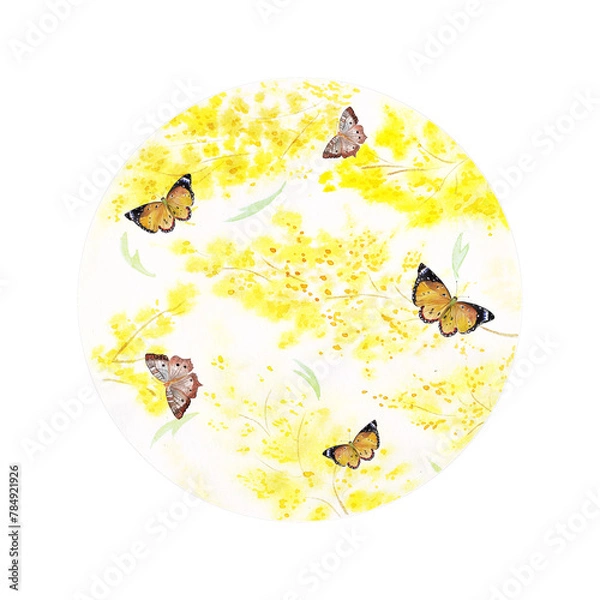 Obraz Frame with watercolor mimosas and butterflies, round spring and summer theme background, natural texture, yellow flowers, frames for text of cards, cosmetics, dishes, posters.