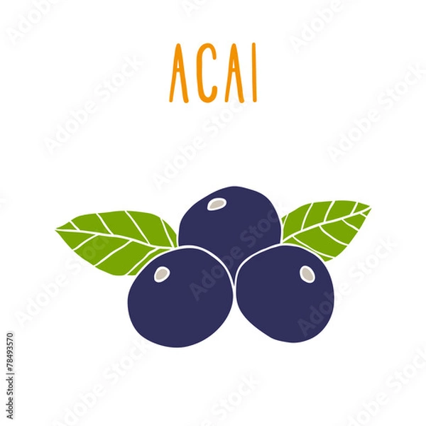 Obraz Acai berries.