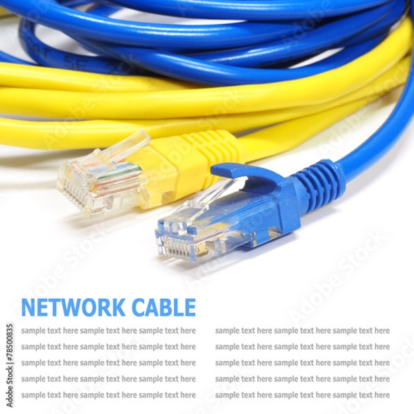 Obraz Network internet cable isolated on white background