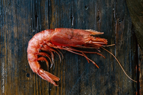 Obraz gambero rosso