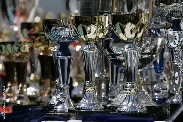 Fototapeta for winners only