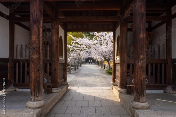 Obraz 日本の春のお寺風景