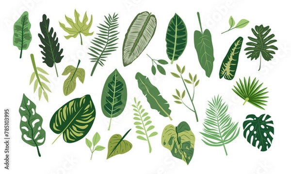 Fototapeta Vector flat cartoon illustration set of tropical leaves isolated on white background. Highly detailed colorful plant collection. Botanical elements for cosmetics, spa, beauty care products , fashion