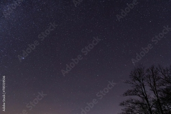 Fototapeta Scenic view of a night sky astrophotography from High Knob Overlook in Hillsgrove, Pennsylvania