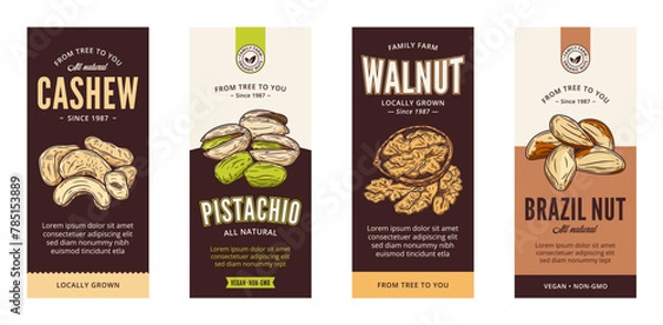 Fototapeta Vector various nut labels in modern style. Vector nut illustrations