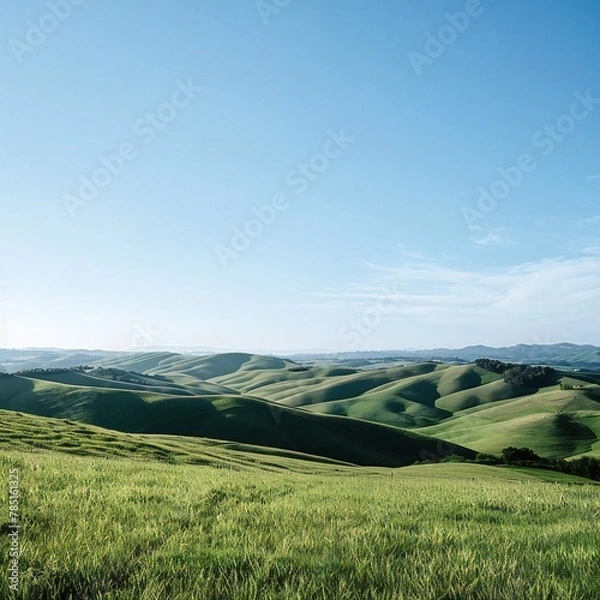 Obraz field and blue sky