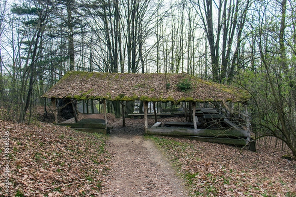 Fototapeta Old wooden shed in the forest. The roof of the shed covered with moss and leaves. Wooden shelter with benches and tables.
