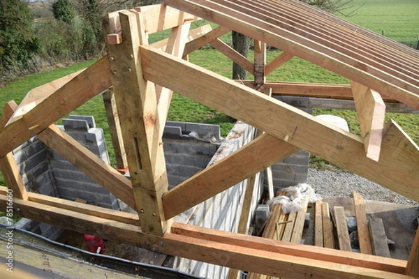 Fototapeta charpente
