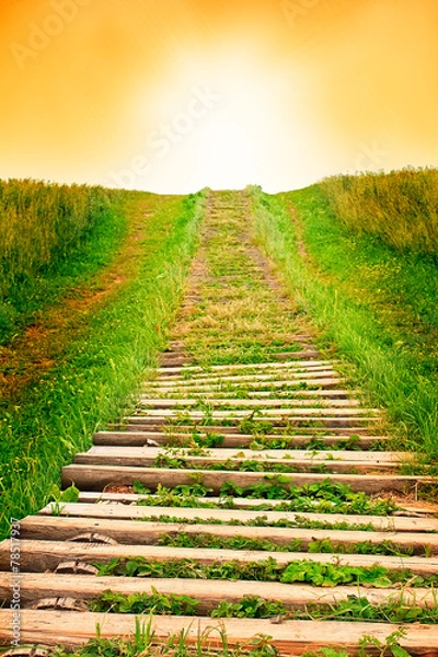 Obraz Stairway to sky