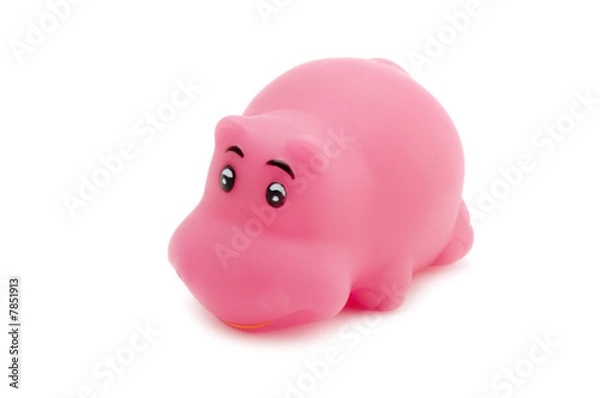 Obraz hippopotamus toy