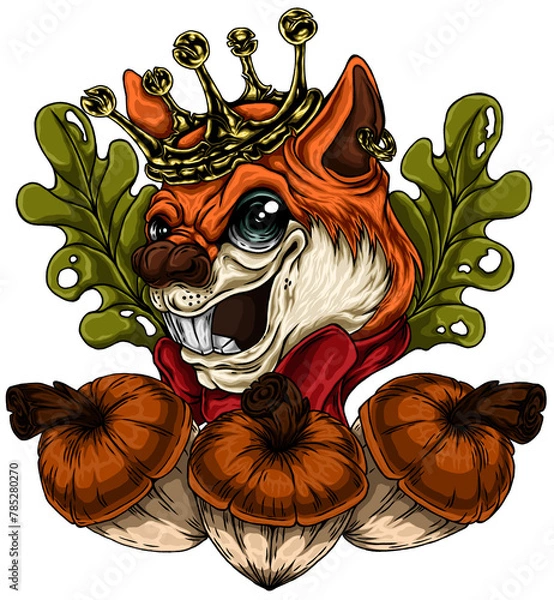 Fototapeta Colorful hand drawn illustrations Squirrel head and hazelnuts on a transparent background