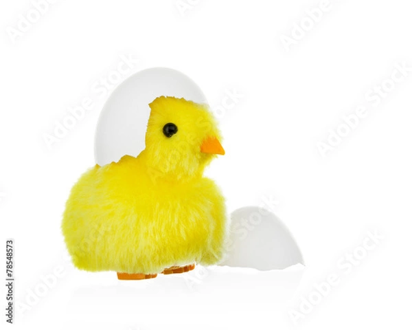 Fototapeta Toy chicken with egg shell