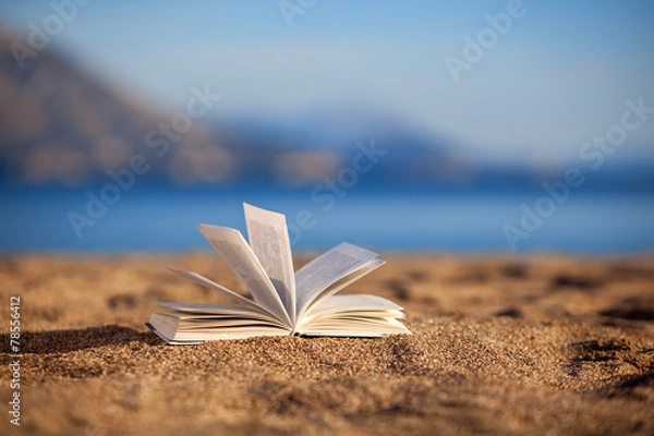Obraz Book on a beach
