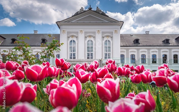 Fototapeta The Grassalkovich Palace - the President's residence of Slovakia is near the Summer Archbishop's Palace. The building is a Rococo-late Baroque summer palace built in 1760 with a French garden.