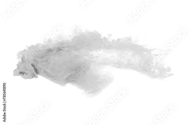 Fototapeta Smoke car burnout on transparent background