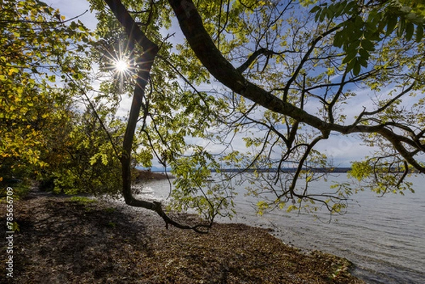 Obraz Herbst an ammersee