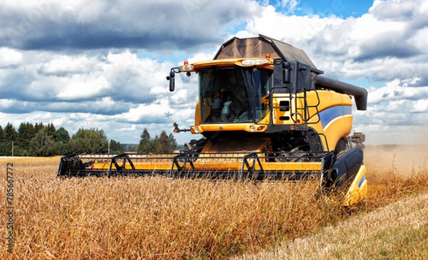Fototapeta Combine harvester harvests ripe wheat. Yellow combine harvests yellow grain. Agriculture image