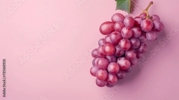 Fototapeta Grape fruits top view on the pastel background