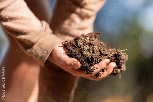 Fototapeta regenerative organic farmer, taking soil samples and looking at plant growth in a farm. practicing sustainable agriculture.