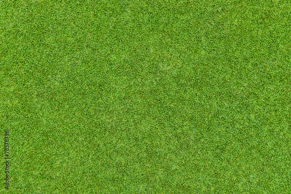 Fototapeta Piękny wzór zielonej trawy z pola golfowego