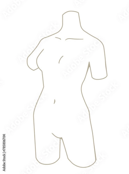 Fototapeta 女性のトルソーのシンプルなイラスト