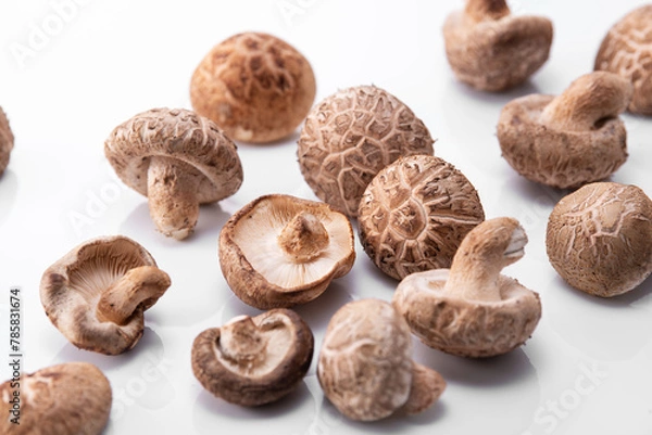 Fototapeta 흰 테이블위에 여러개의 표고버섯