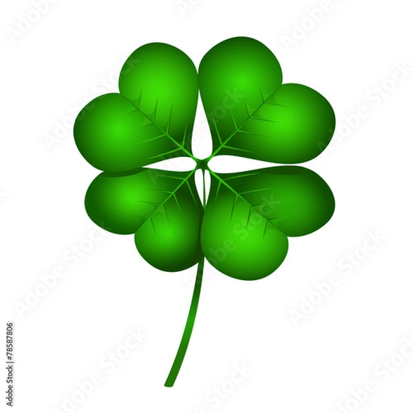 Fototapeta Leaf clover on white background