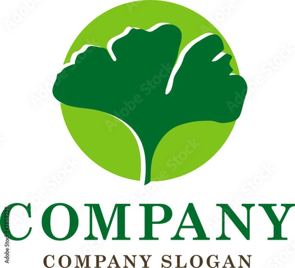 Obraz Company Gingko