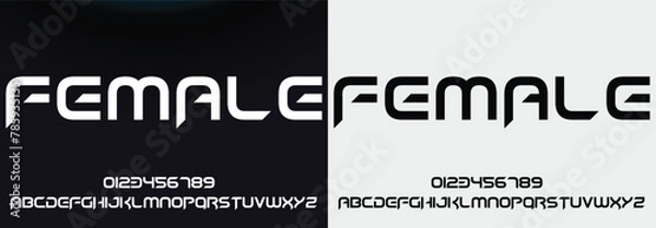 Fototapeta Modern elegant alphabet with urban style template