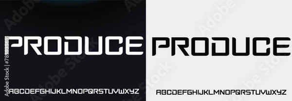 Fototapeta Elegant modern alphabet letter font. luxury typography fonts logo font premium vector Premium Vector